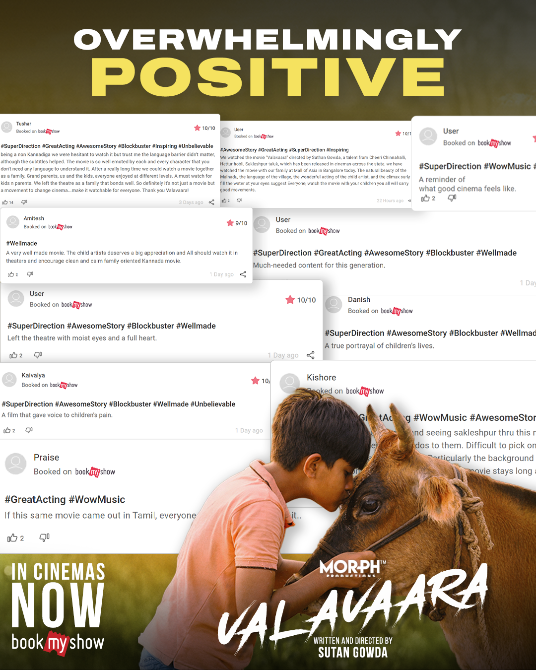 Overwhelmingly Positive Reviews